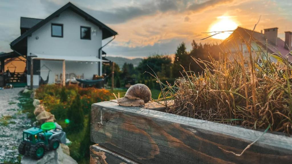 Magiczny Przystanek Apartment Myczków Екстериор снимка